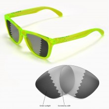 Walleva Transition/Photochromic Polarized Replacement Lenses for Oakley Frogskins Sunglasses